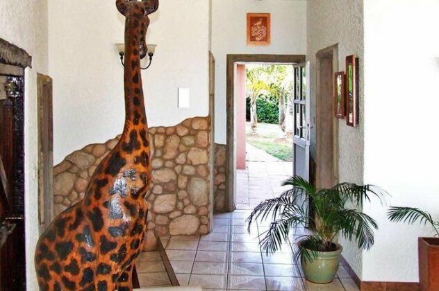 Stephan's Guest House - Photo4