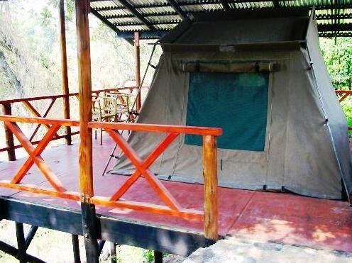 Jungle Monkey Backpackers - Photo3
