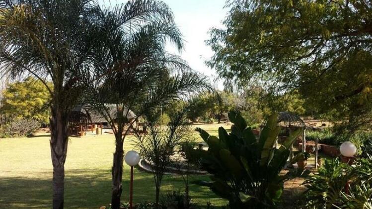 Mount Festiva Lodge - Photo5