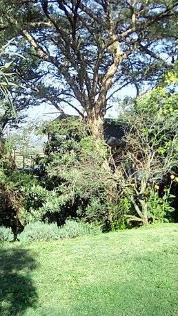 Tree Tops Pretoria - Photo4