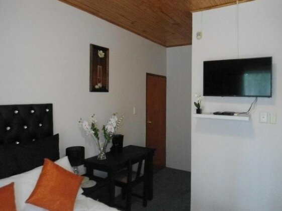 Mellow Palms Guest House - Photo5