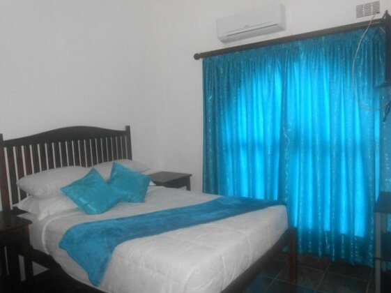 Natal Mahogany - Photo4