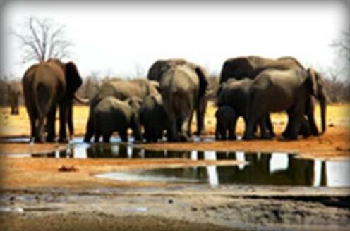 The Elephanthills B&B - Photo5