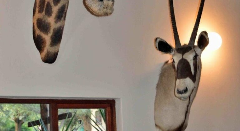 Kareekloof Game Farm - Photo3