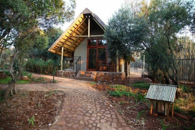 Tidimalo Lodge - Photo4