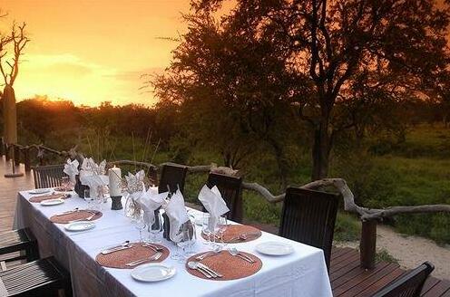 Thornybush Simbambili Lodge - Photo5