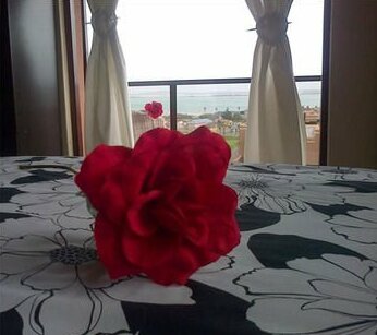 Saldanha Bay Vintour - Photo3