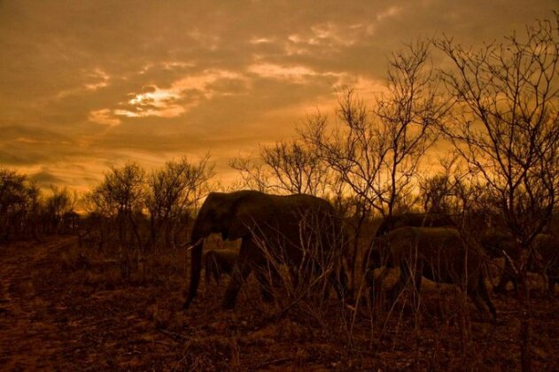 Kruger Park Bungalow - Photo2