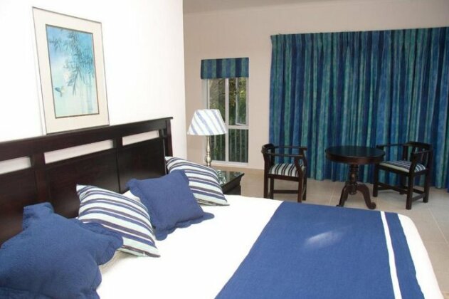 Blue Horizon Bed & Breakfast - Photo4