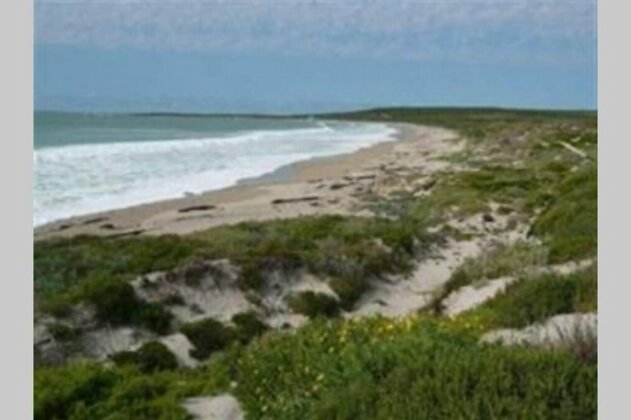 Beachtique - Photo3
