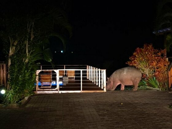 Sunset Lodge St. Lucia - Photo4