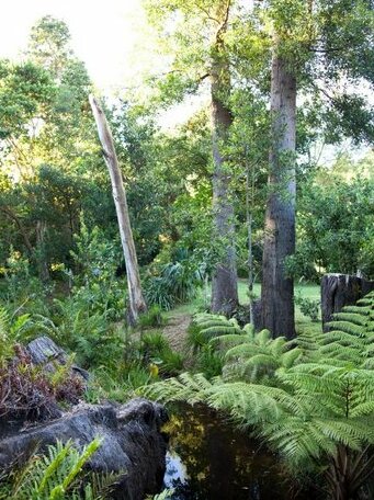 Andelomi Nature's Rest - Photo3