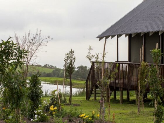 Beyond Urban Cottages