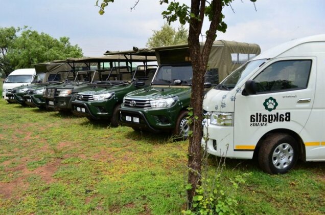 Tented Adventures Pilanesberg - Photo4