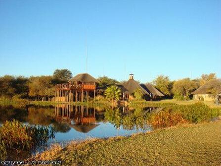 Ditholo Game Lodge - Photo2
