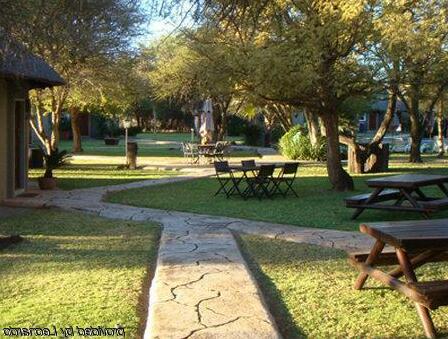 Ditholo Game Lodge - Photo3