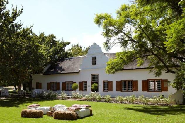 Montpellier Wine Estate - Photo4