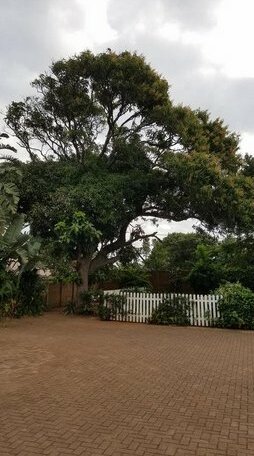 Ocean Park Guest House - Photo2