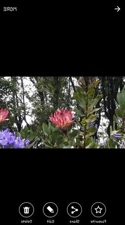 Mac Nicol's Farm House B&B - Photo2