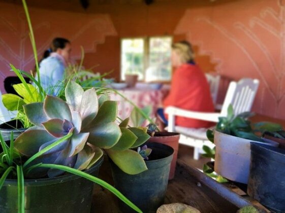 Pear Tree Cottage Underberg - Photo5
