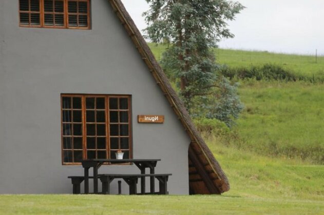 Penwarn Country Lodge - Photo4