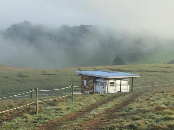 Tin Can Glamping Caravan - Photo2