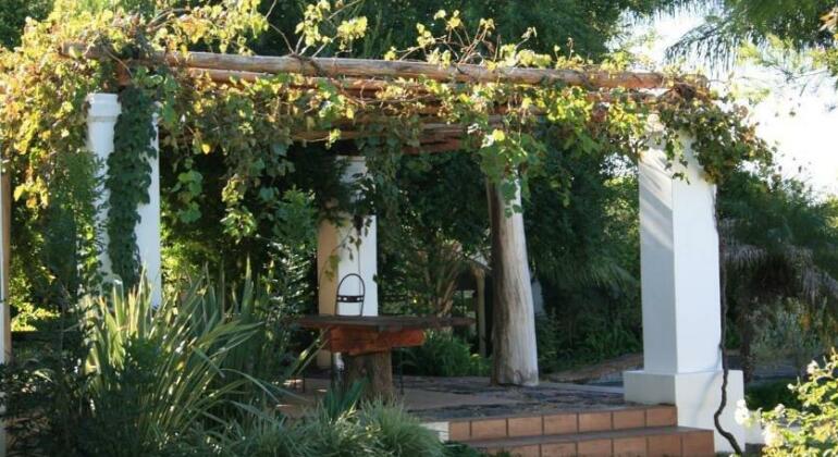 African Vineyard Guesthouse - Photo2