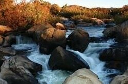 Nkomazi Game Reserve White River