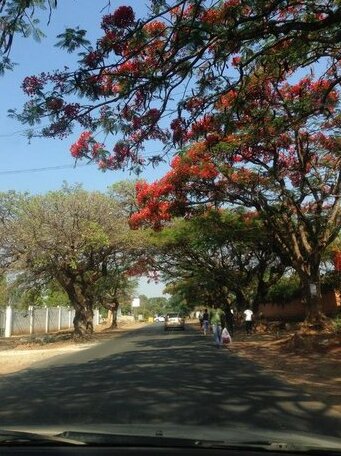 Lusaka Backpackers - Photo5