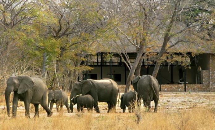 Gwango Elephant Lodge - Photo3