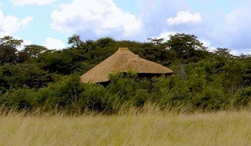 Gwango Elephant Lodge - Photo4