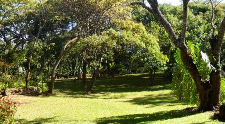 Mfuti Bed And Breakfast - Photo2