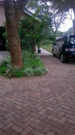 Tinotenda Cottage - Photo3
