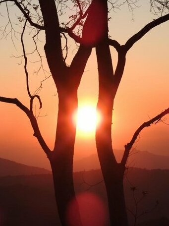 Madrugada - Photo2